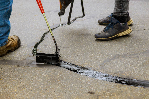 Best Driveway Pressure Washing  in Manassas, VA